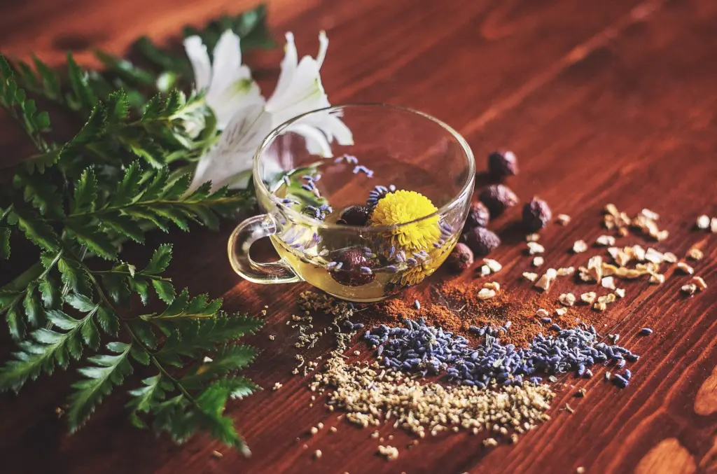 Herbalrenaissance Coupon Code