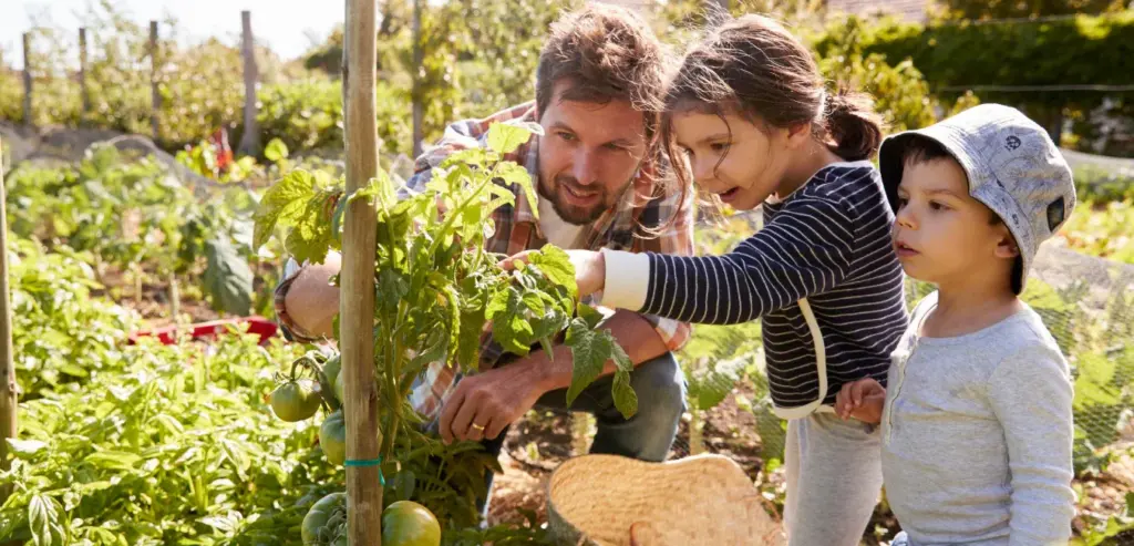AgroThrive Review